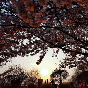 🈲🈲母狗淫水
